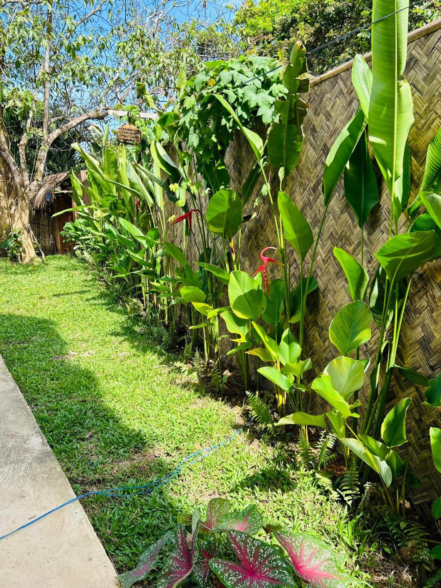 Lolas Villa El Nido Luaran gambar